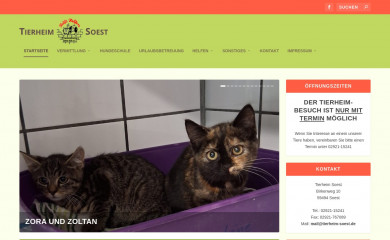 tierheim-soest.de screenshot