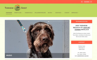 tierheim-soest.de screenshot