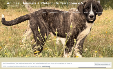 tierheim-tarragona.de screenshot
