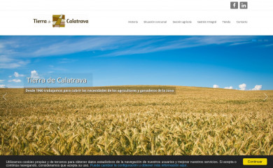 tierradecalatrava.es screenshot
