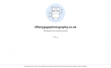 tiffanygagephotography.co.uk screenshot