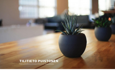 tilitieto-puistonen.fi screenshot