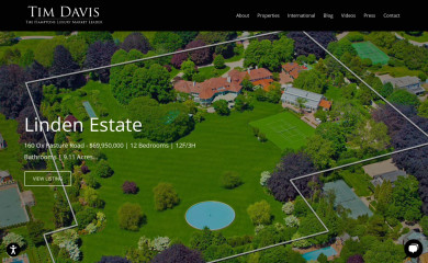 timdavishamptons.com screenshot