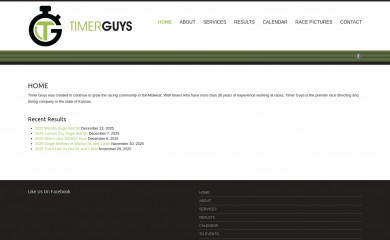timerguys.com screenshot
