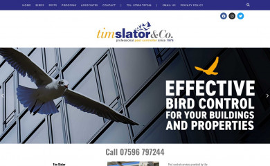 timslatorandco.co.uk screenshot