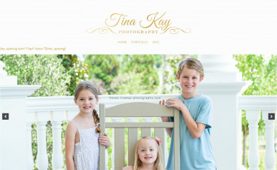 tinakay-photography.com screenshot