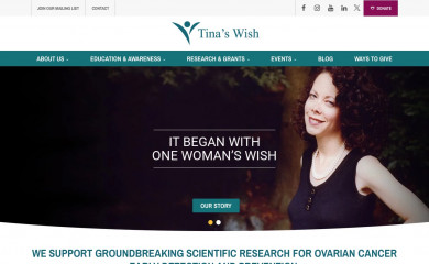 tinaswish.org screenshot