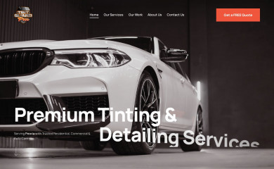 tintguardpros.com screenshot