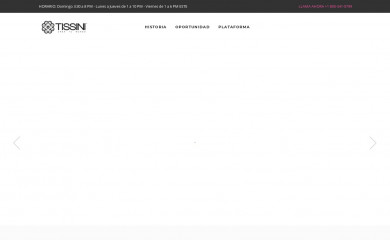 tissini.com screenshot