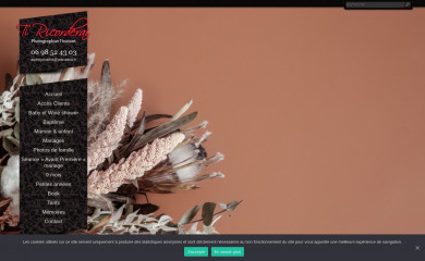 tiricorderai.com screenshot