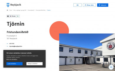 tjornin.is screenshot