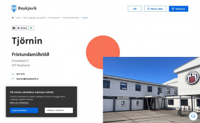 tjornin.is screenshot