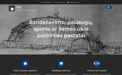 tkservisas.lt screenshot