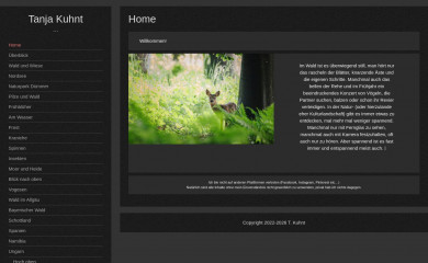 tkuhnt.de screenshot