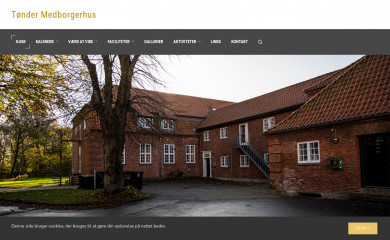 tmhus.dk screenshot