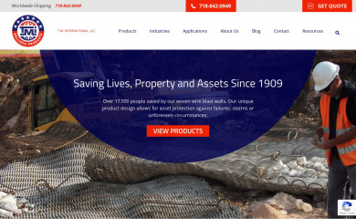 tmi2001.com screenshot