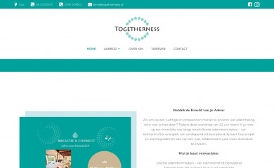togetherness.nl screenshot