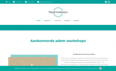 togetherness.nl screenshot