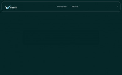 toenjes-consulting.de screenshot