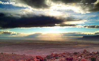 tokao.com screenshot