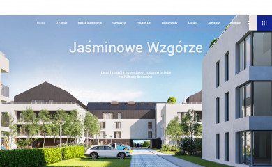 tomaszewicz.pl screenshot