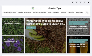 topnewsource.com screenshot