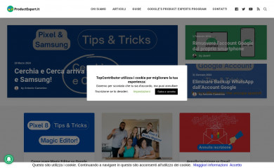 topcontributor.it screenshot