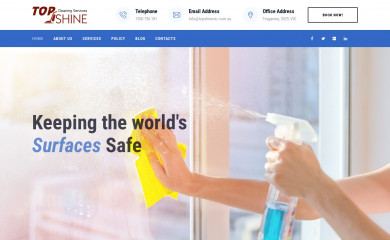 topshinevic.com.au screenshot