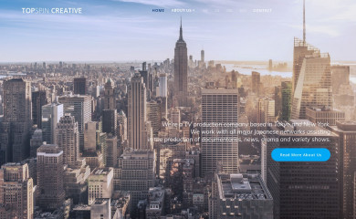 topspincreative.com screenshot