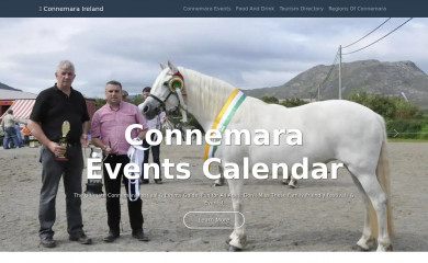 totalireland.com screenshot