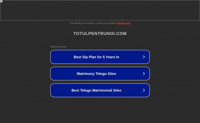 totulpentrunoi.com screenshot