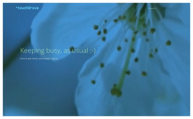 touchgrove.com screenshot