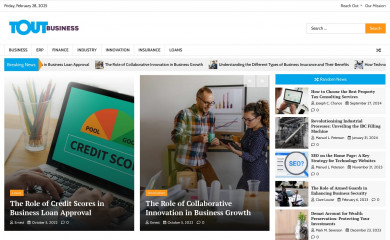 toutbusiness.com screenshot