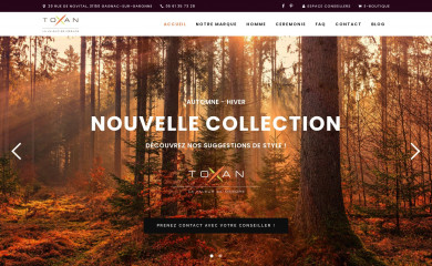 toxan.fr screenshot