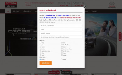 toyotabacninh4s.com screenshot