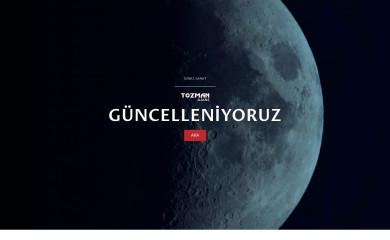 tozman.com.tr screenshot