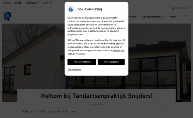 tpsnijders.nl screenshot
