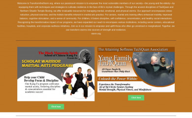 transformthestorm.org screenshot