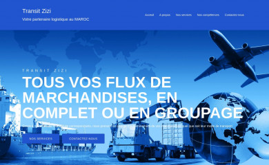 transitzizi.com screenshot