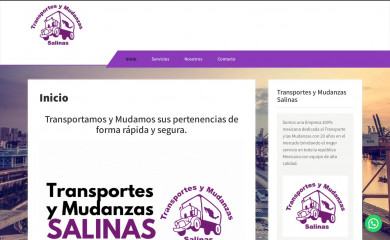 transportessalinas.com.mx screenshot