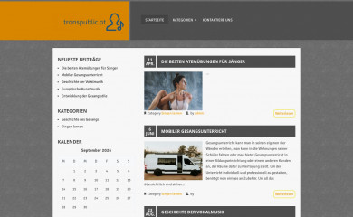 transpublic.at screenshot