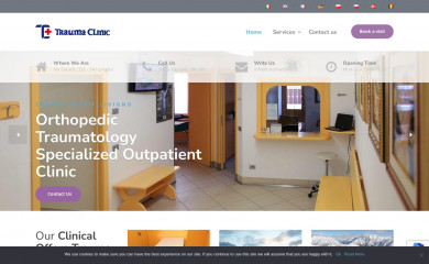 traumaclinic.it screenshot