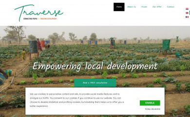 traverse-experts.com screenshot