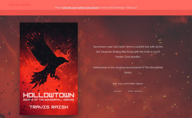 travisraish.com screenshot