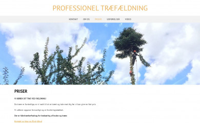 treezone.dk screenshot