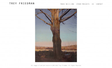 treyfriedman.com screenshot