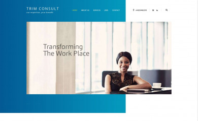 trimconsult.co.uk screenshot