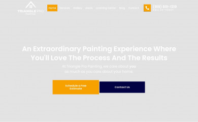 trianglepropainting.com screenshot