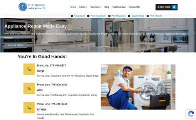 tricityquality.com screenshot