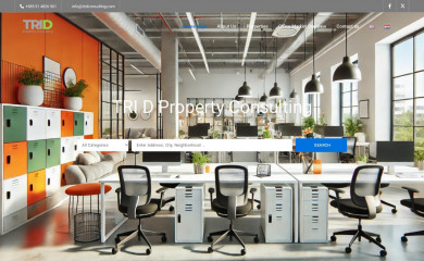 tridconsulting.com screenshot